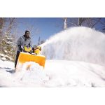 Cub Cadet 3X™ 30" TRAC Snow Blower (31AH7EVZ710)