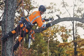 Husqvarna T535i XP® (tool only)